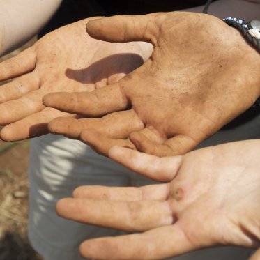 Three sets of hands outstretch to show dirt from hard work.