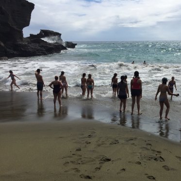 A group of students stand along the edge of a beach facing the waves. 