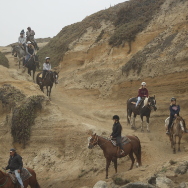 Horseback Riding