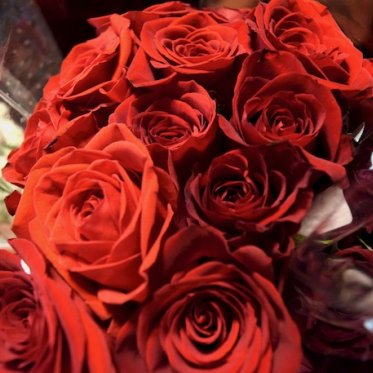 bunch of roses