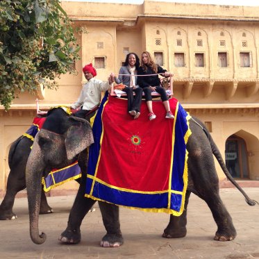 Students riding an elephant
