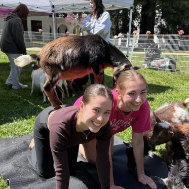 GOat Yoga