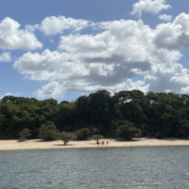 Amazon beach