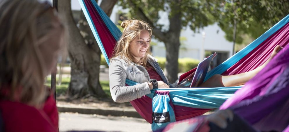 A student studying outside on a hammock