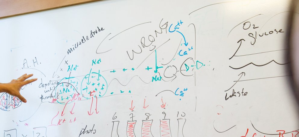 Biology Programs
