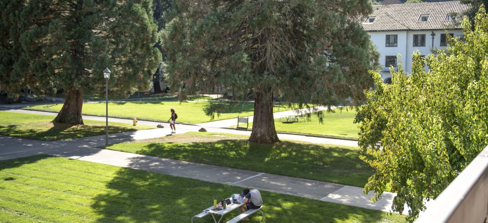 Campus grounds and lawn