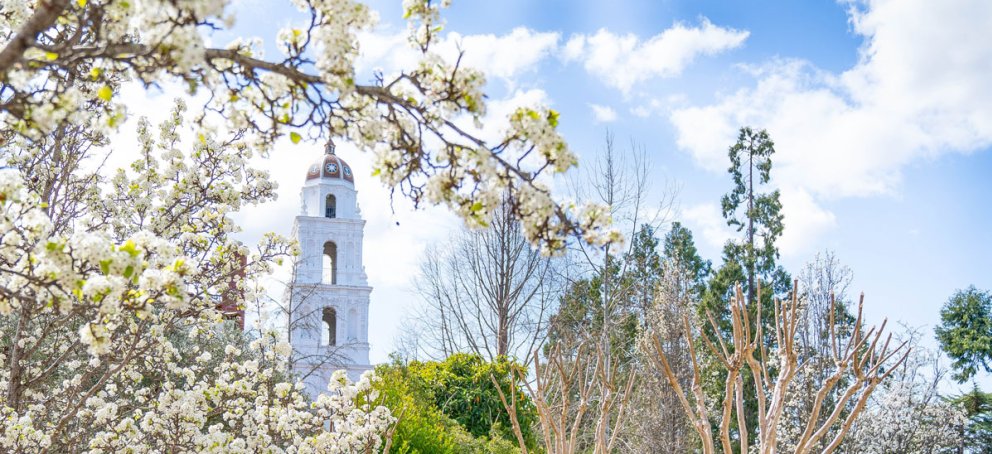 Saint Mary's College Chapel in the Spring