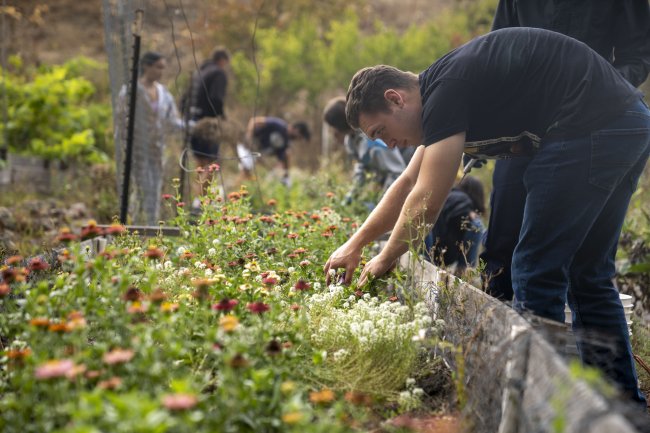 a student it tending to the garden