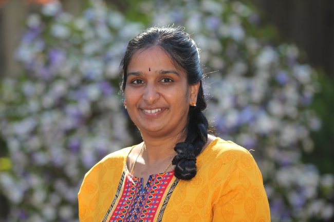 vidya