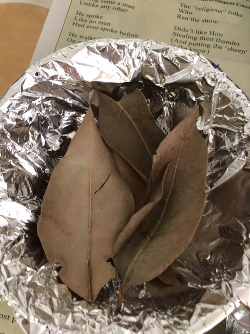 nest 3