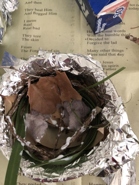 nest 4