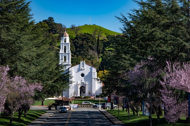 main road into campus