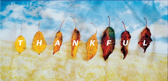 THANKFUL image