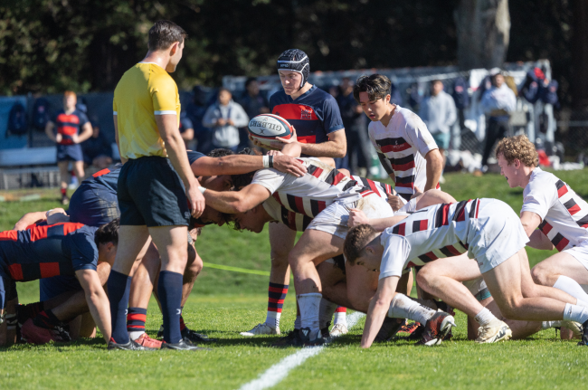 Mens Rugby