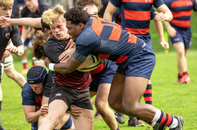 Men's Rugby