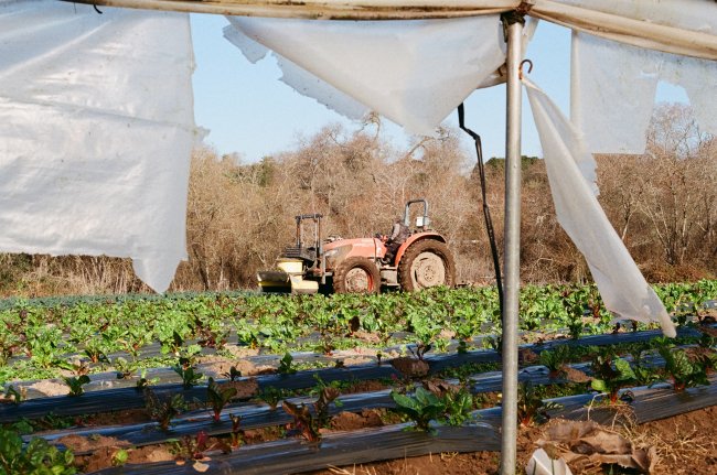 Tractor at JSM Organics