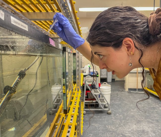 Sofia Yildirim '27 placing structure in fish tank