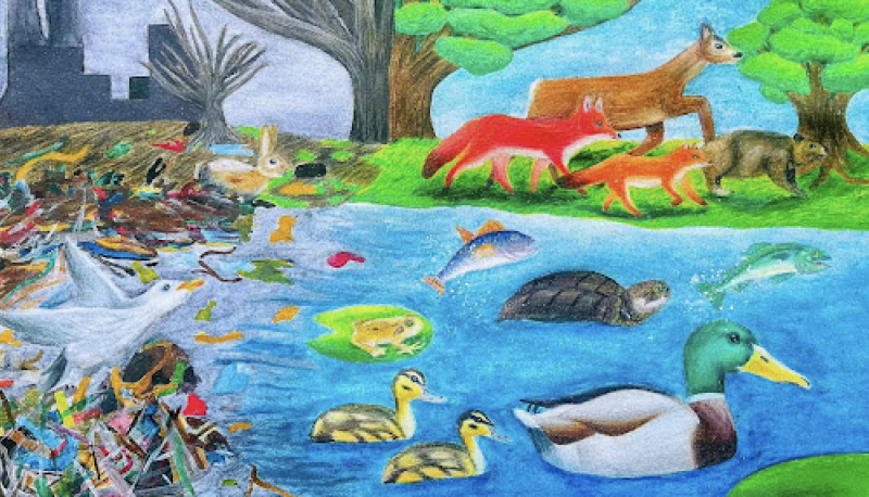 row winning artwork