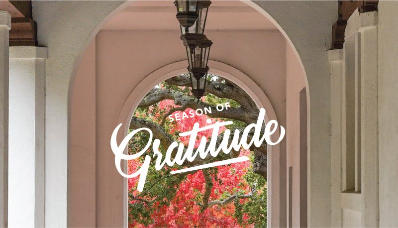 Gratitude image