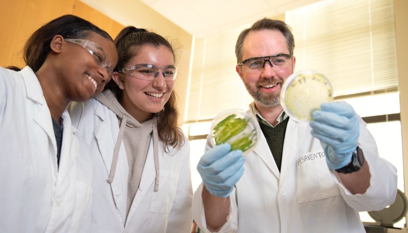 Jim Pesavento examining algae with students
