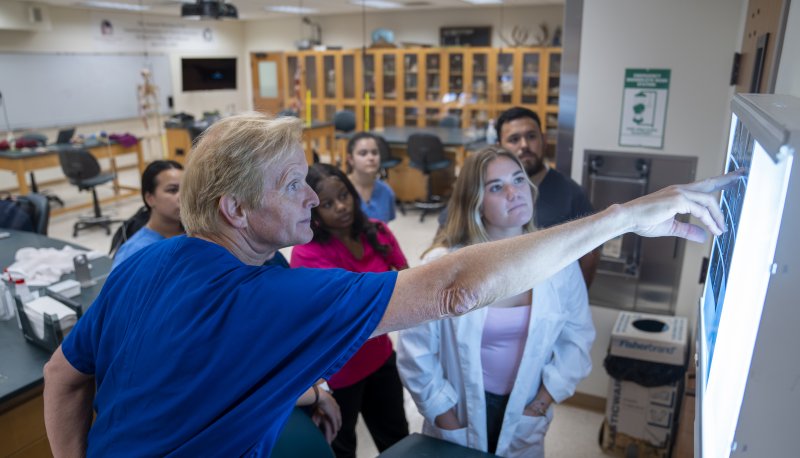 Professor in blue scrubs pointing to an Xray as students look at it in the foreground