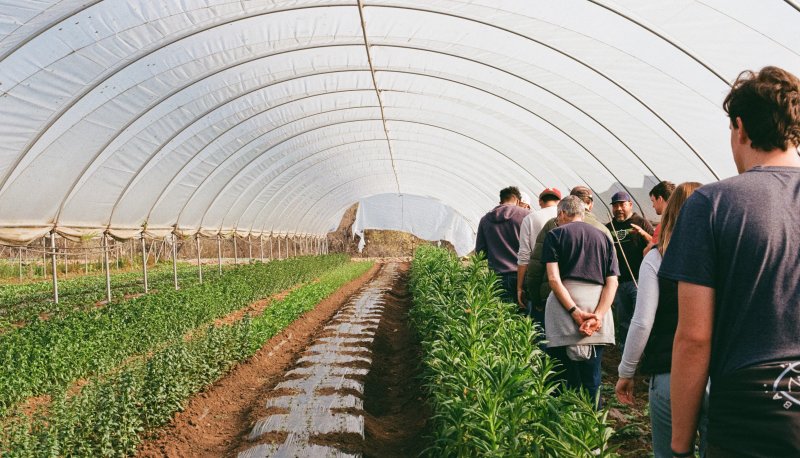Photo of students talking to Javier Zamora at JSM Organics