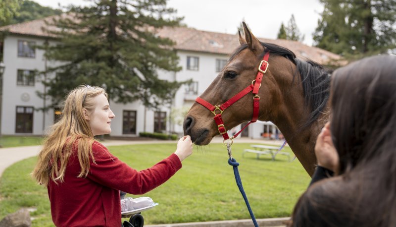 Student with Bart the horse on campus