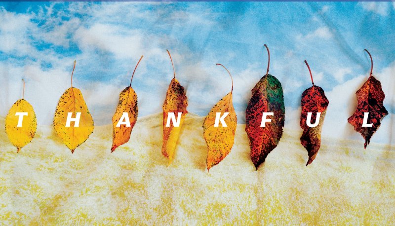 Thankful graphic