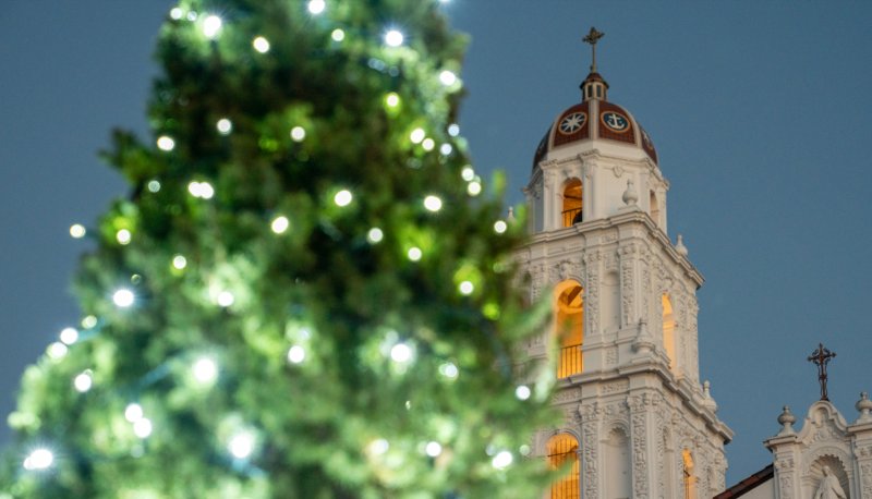 Holiday tree in lights with SMC chapel tower in background