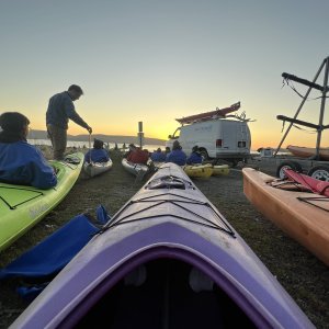 Bioluminescence Kayaking