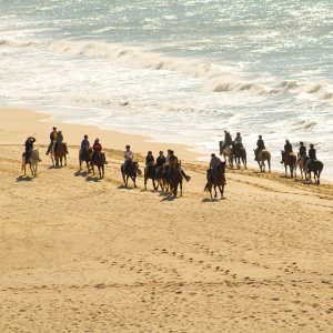 Horseback Riding