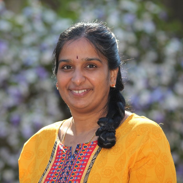 vidya