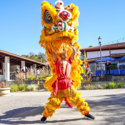 Lunar New Year Dragon