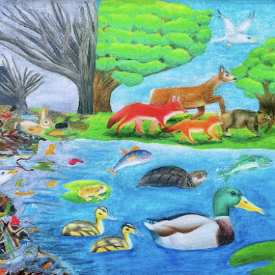 row winning artwork