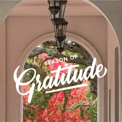Gratitude image