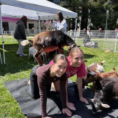 Goat Yoga 2025