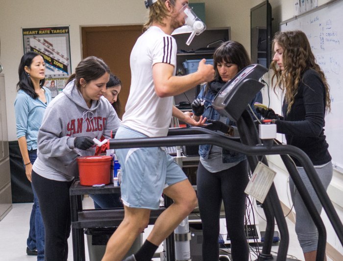 treadmill