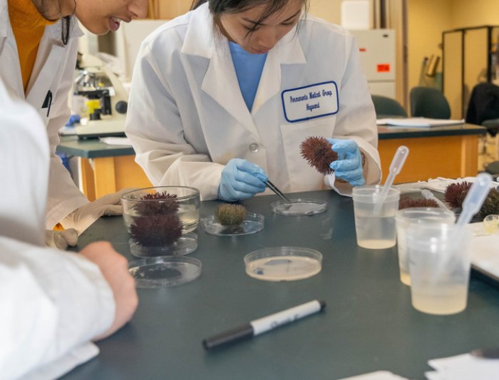 testing in a lab