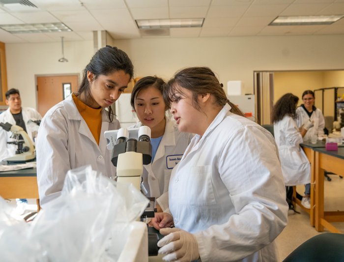 Three students looking at a microscope in a lab class
