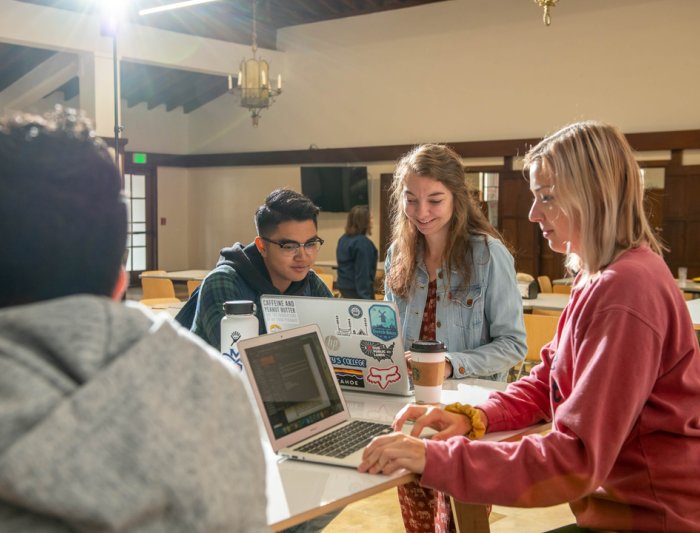 four students studying on laptops