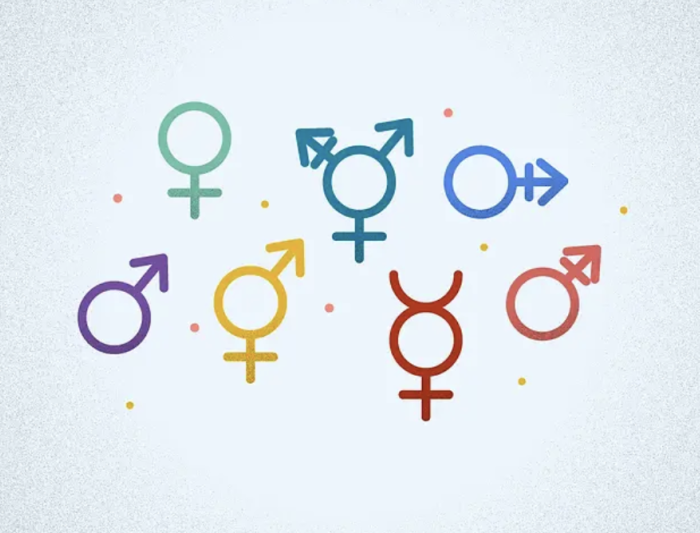 gender identity