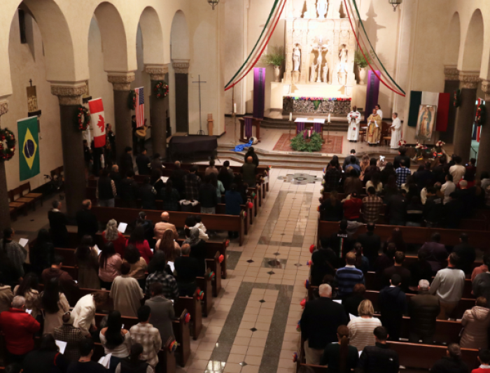 OLG