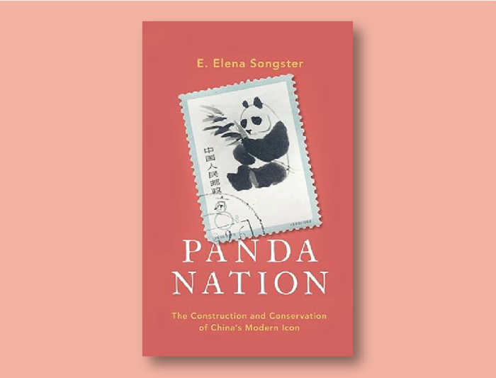 Panda Nation
